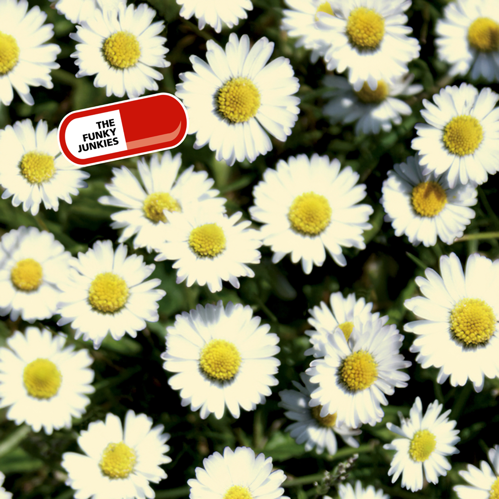 TFJ014 - Subtle Little Things