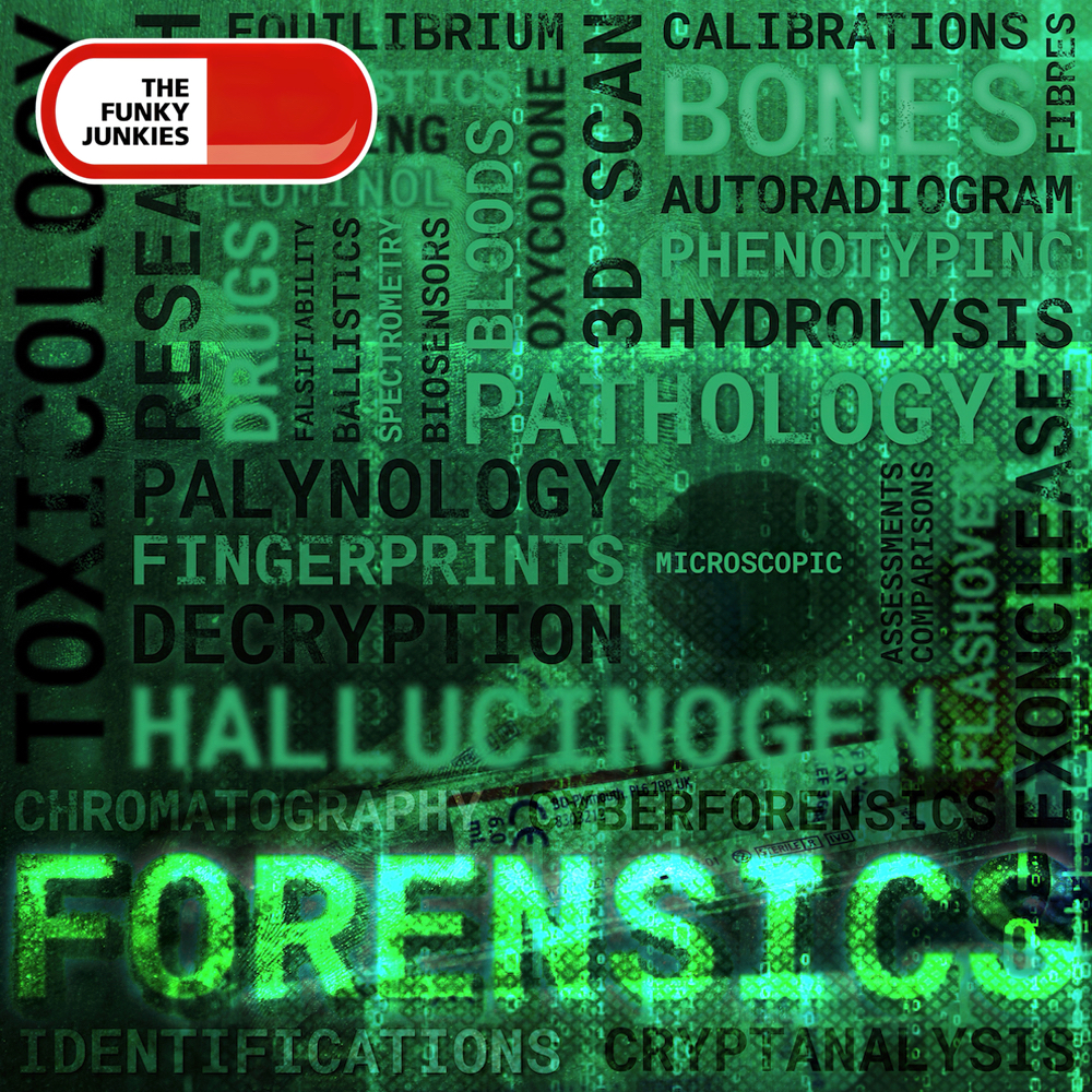 Real Crimes : Forensics
