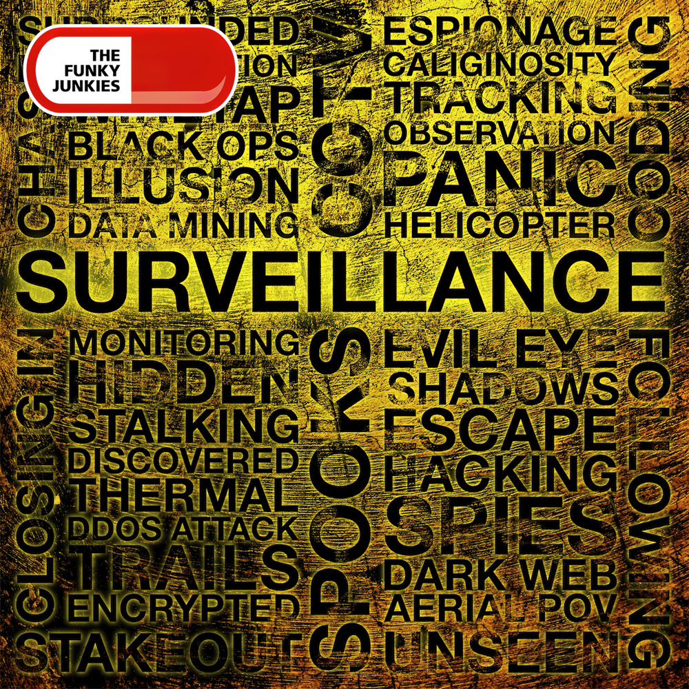 Real Crimes : Surveillance