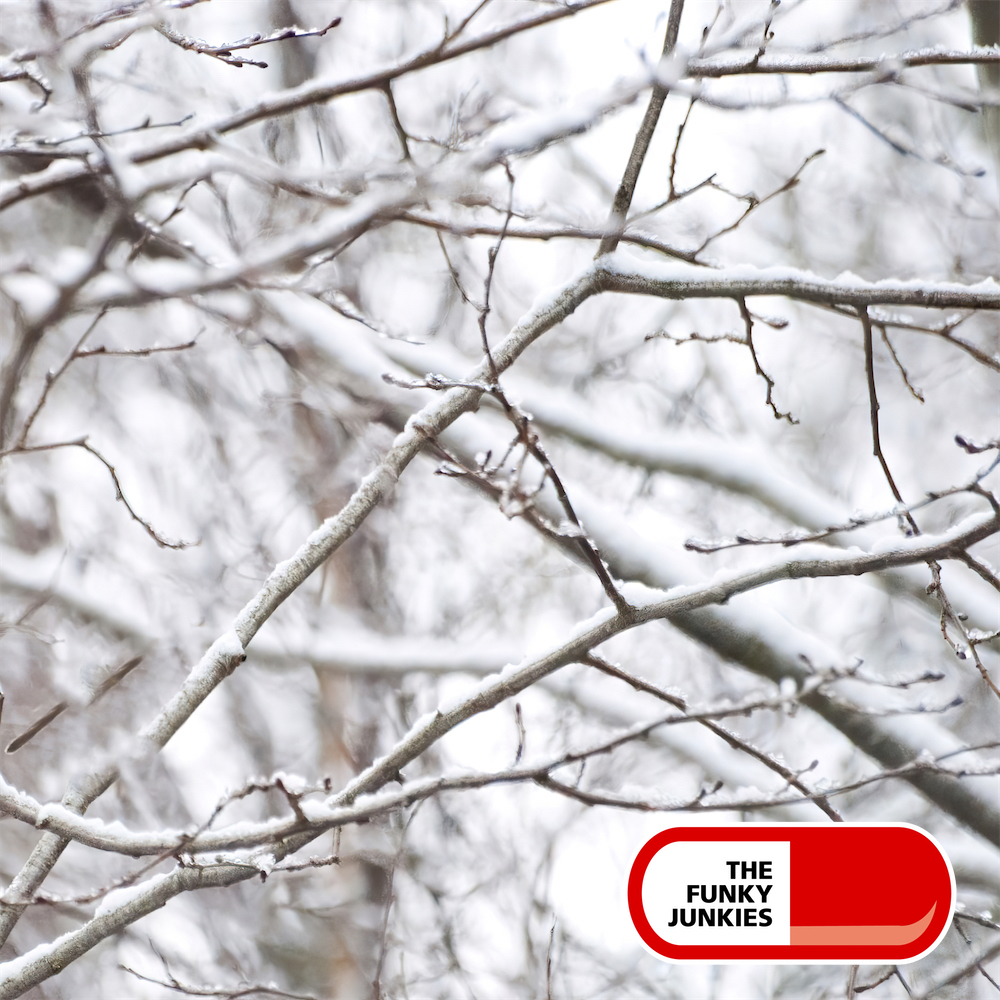 Country Folk : Winter