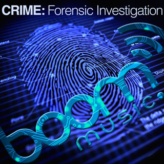 Crime: Forensic Investigation