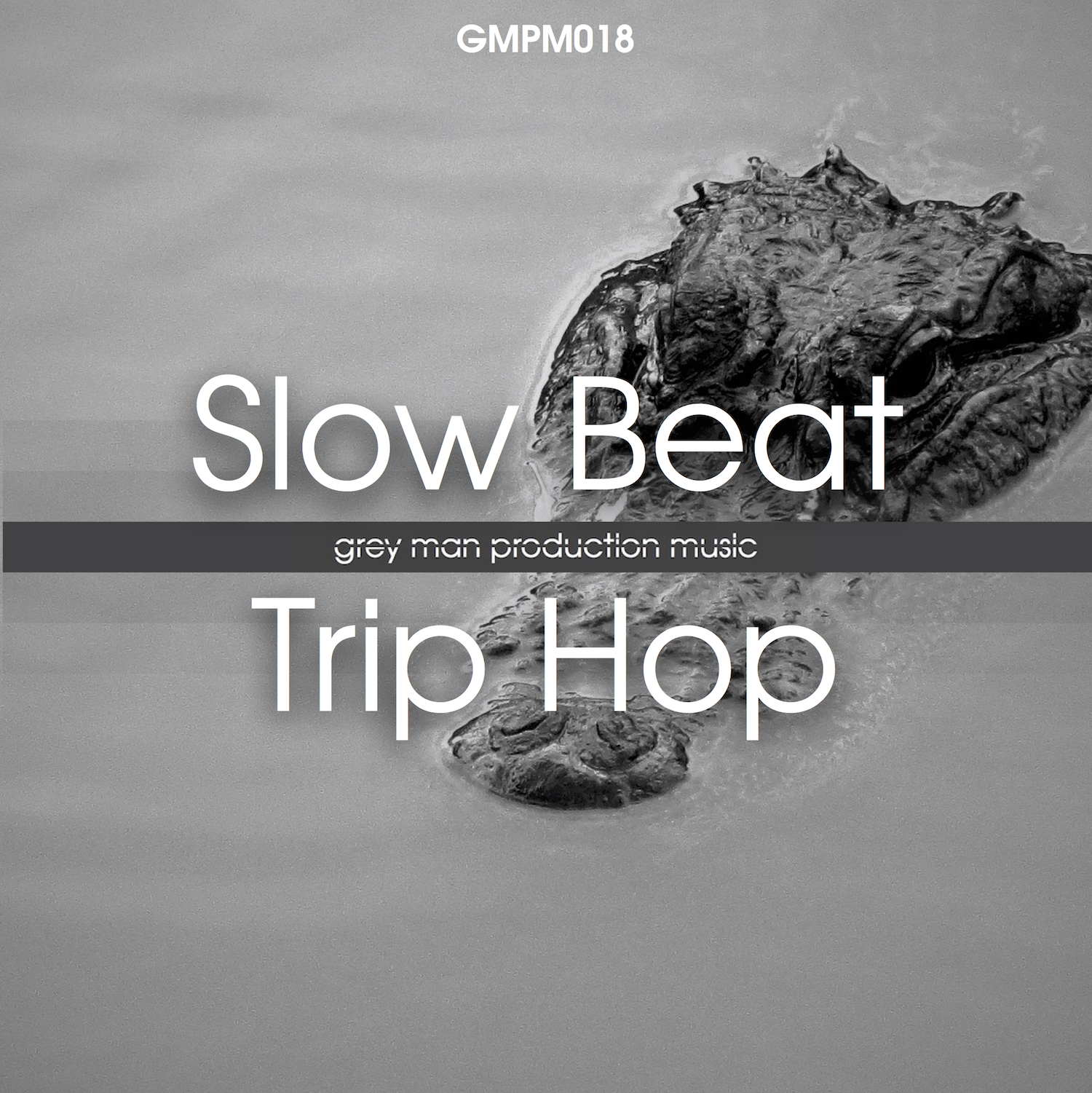 Slow Beat Trip Hop