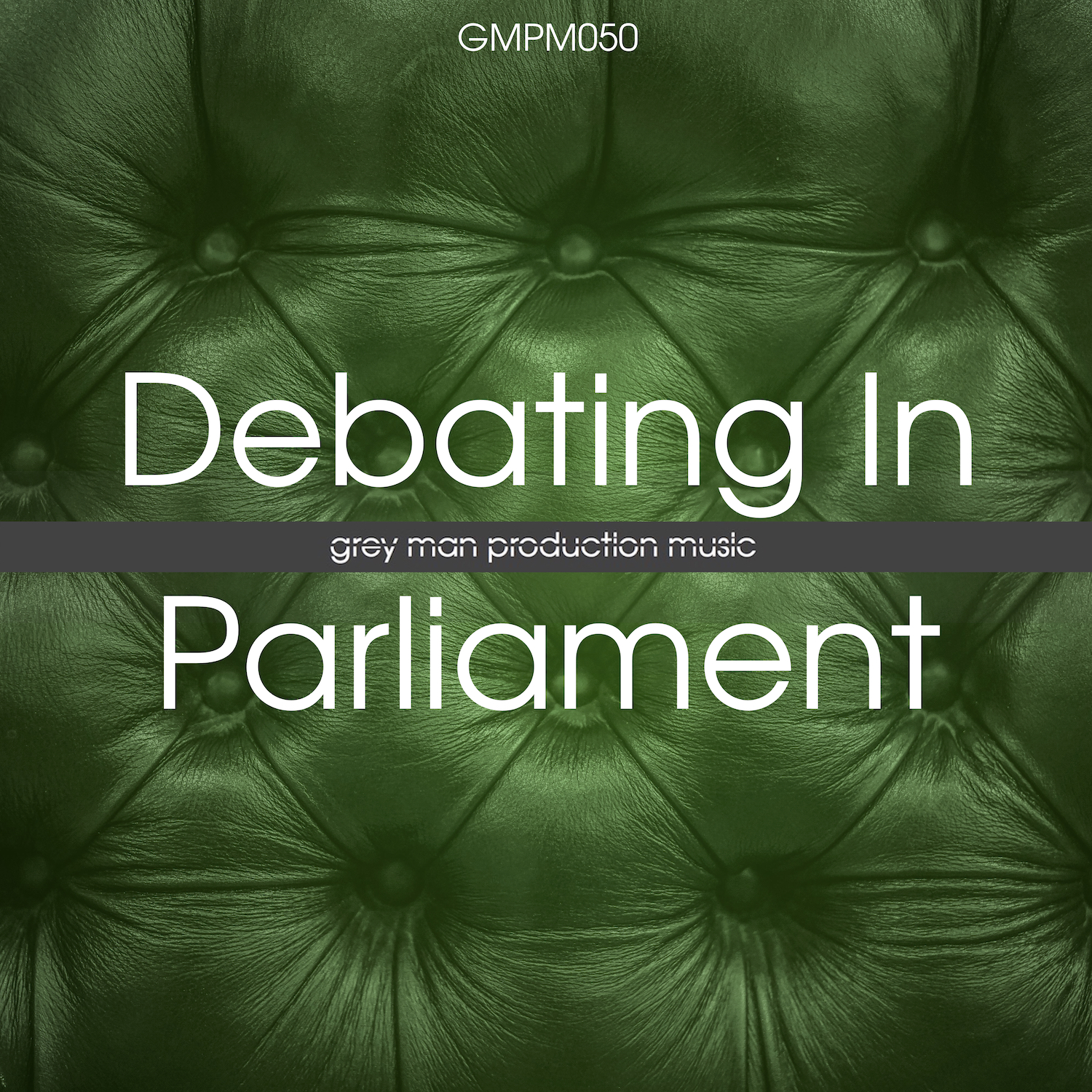Debating In Parliament