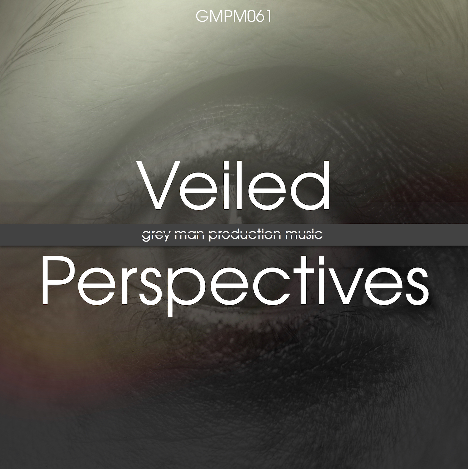Veiled Perspectives