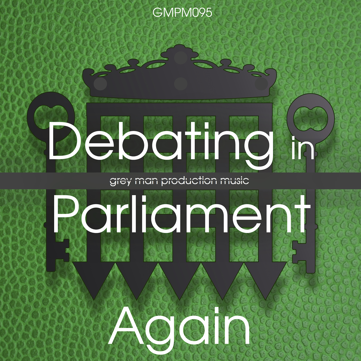 Debating In Parliament Again