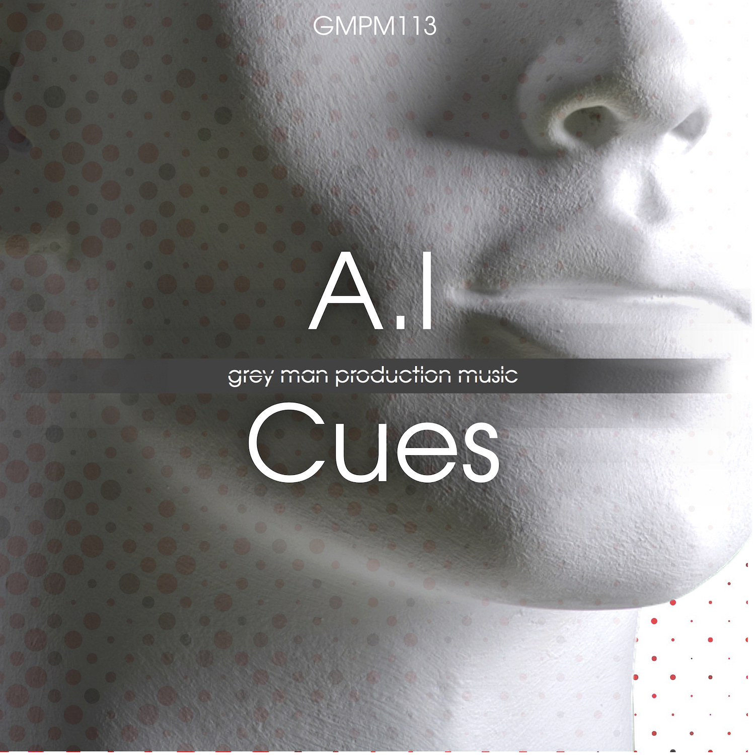 GMPM113 - A.I Cues