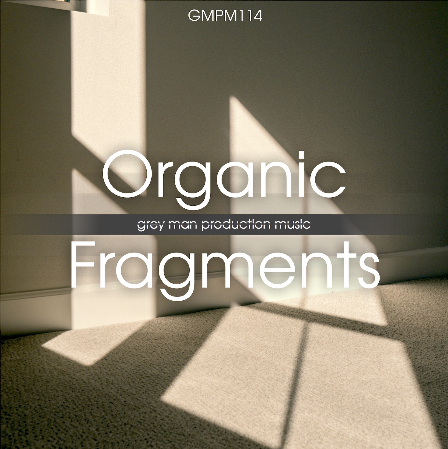 Organic Fragments