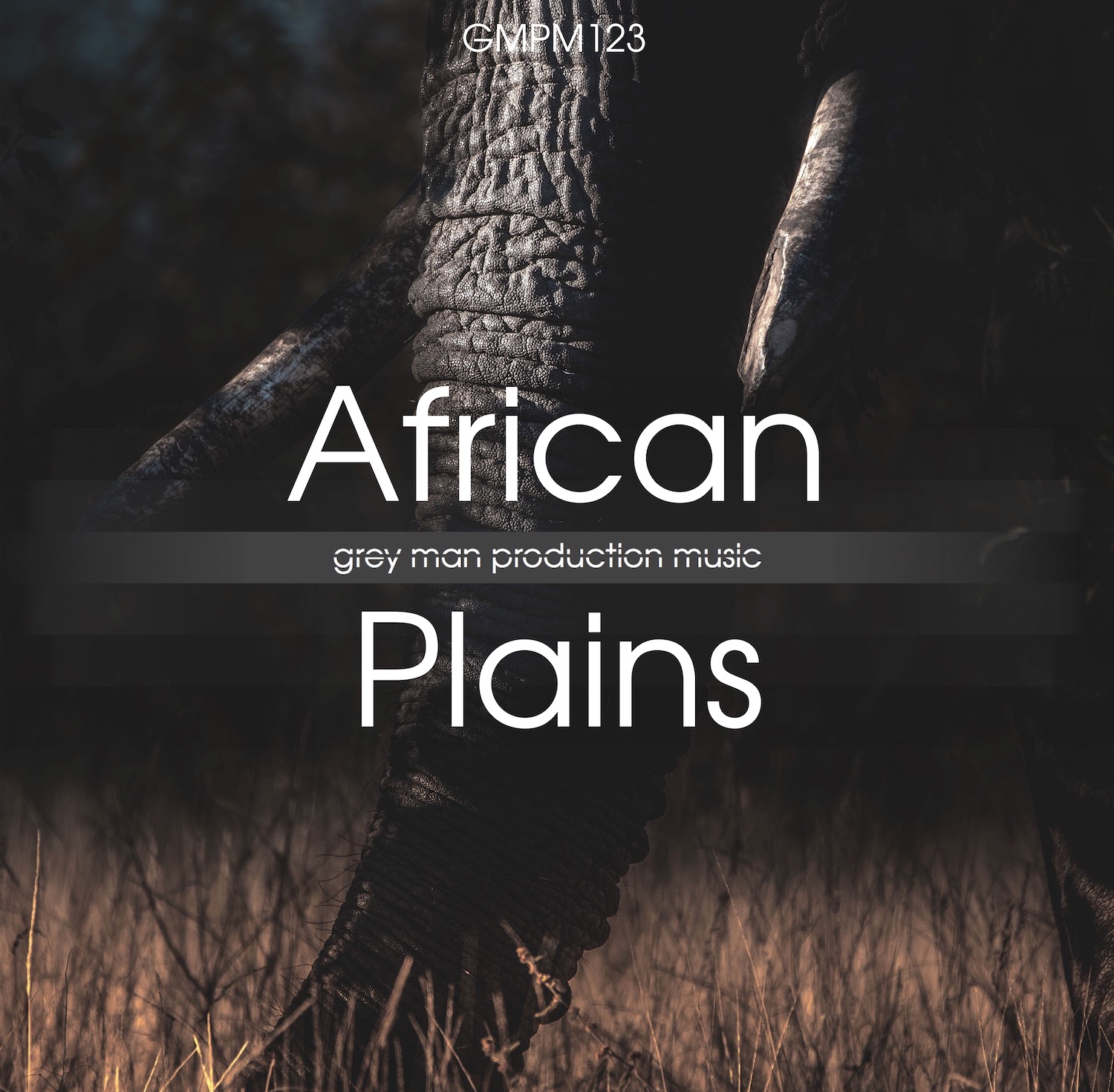 African Plains