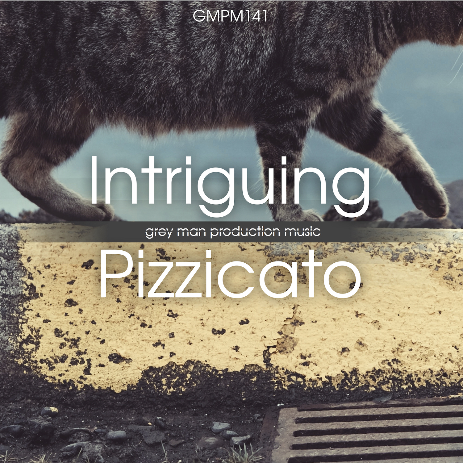 Intriguing Pizzicato