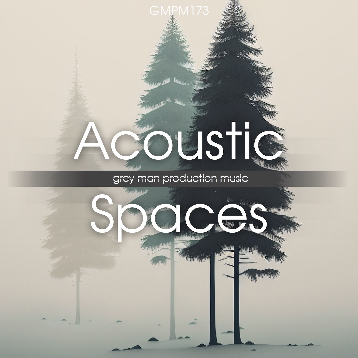 Acoustic Spaces