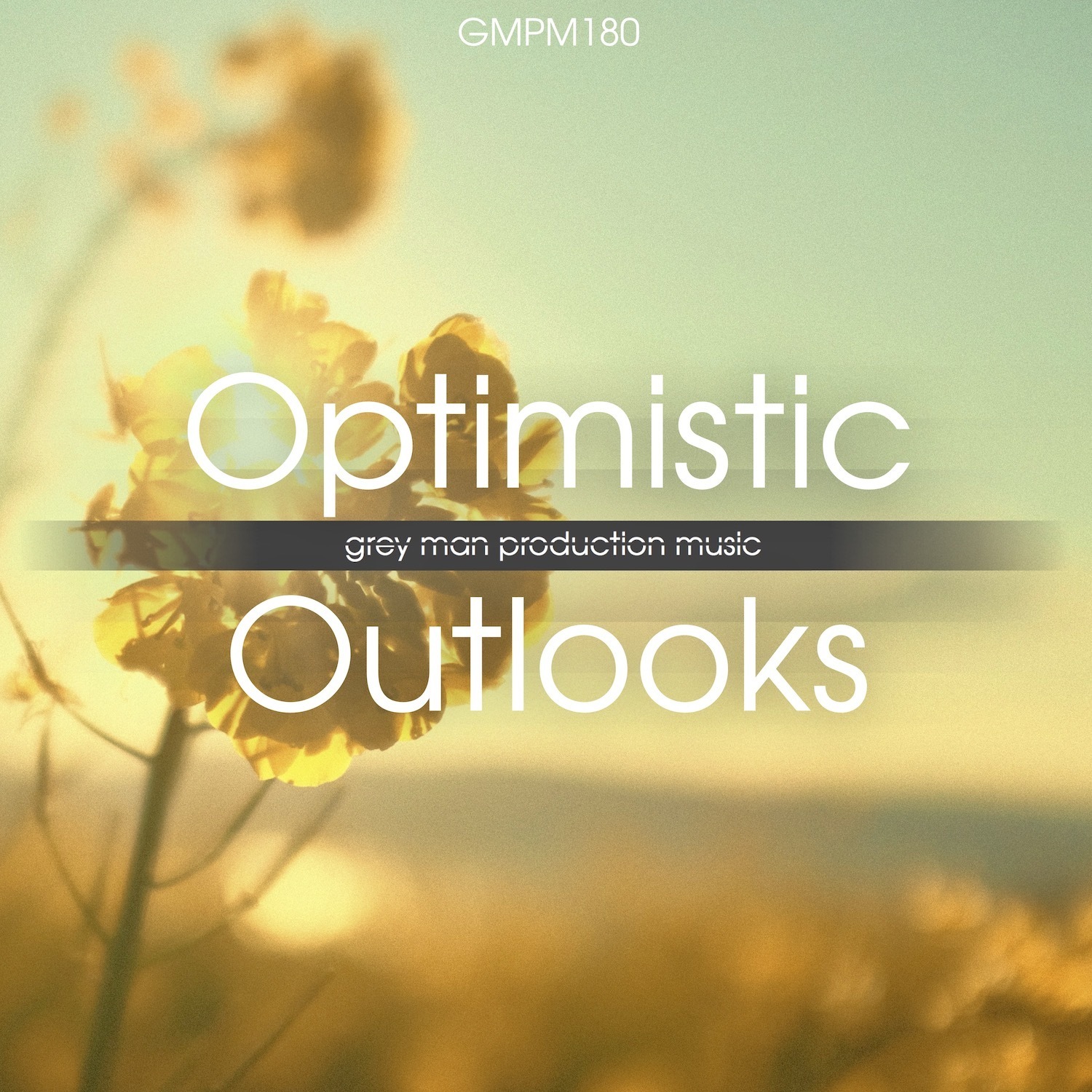 Optimistic Outlooks