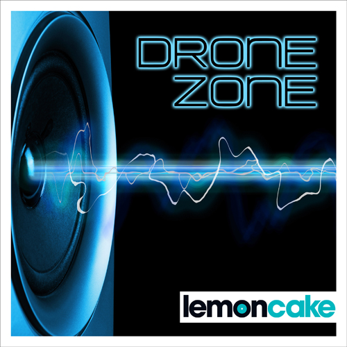 Drone Zone