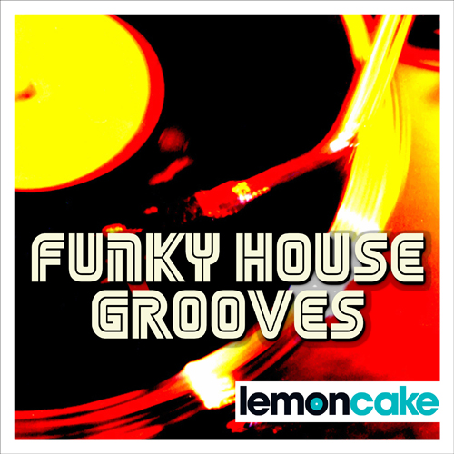 Funky House Grooves