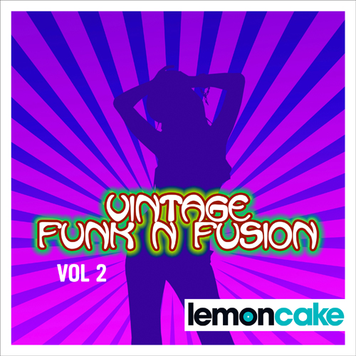 Vintage Funk n Fusion Vol 2