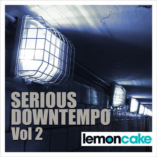 Serious Downtempo Vol 2