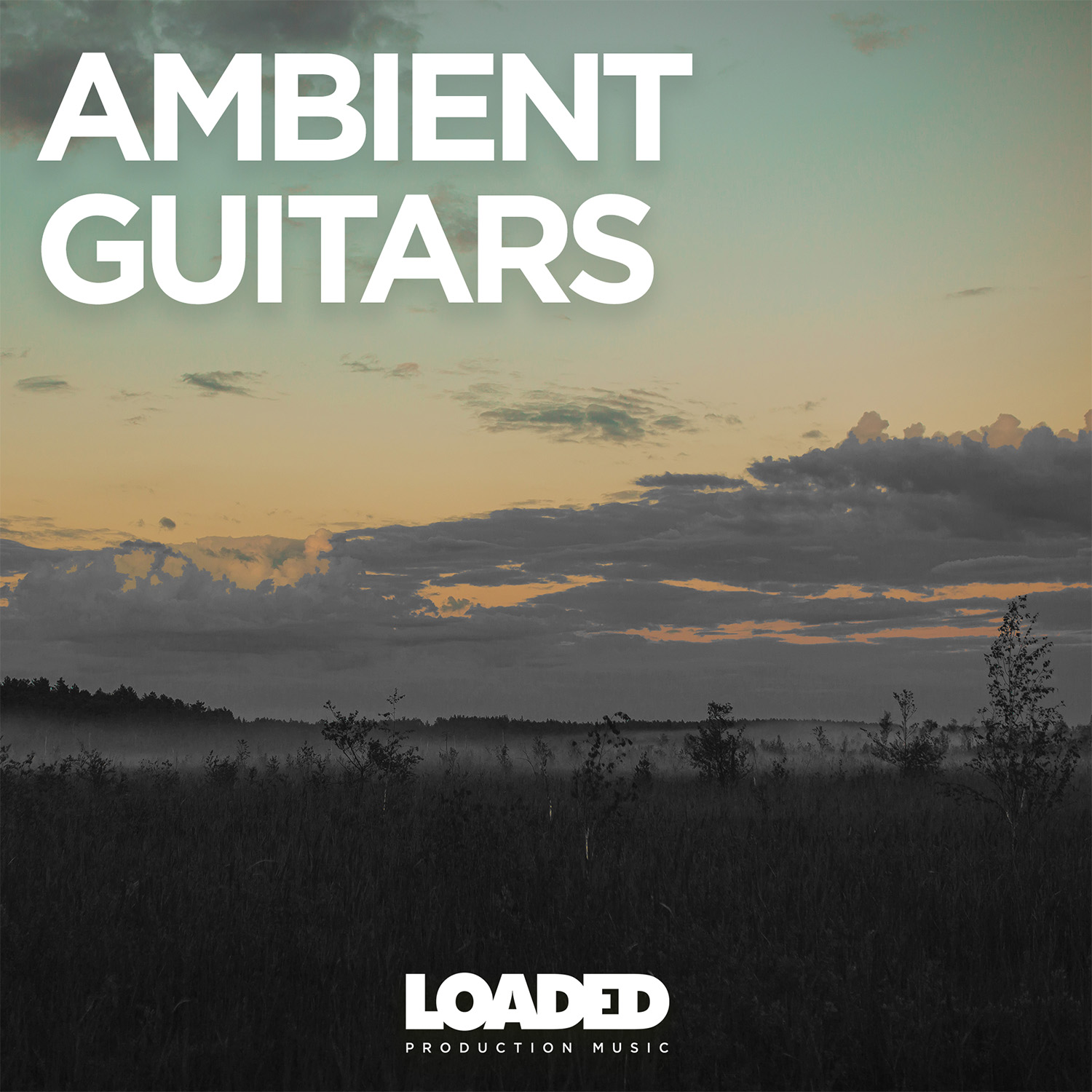 Ambient Guitars