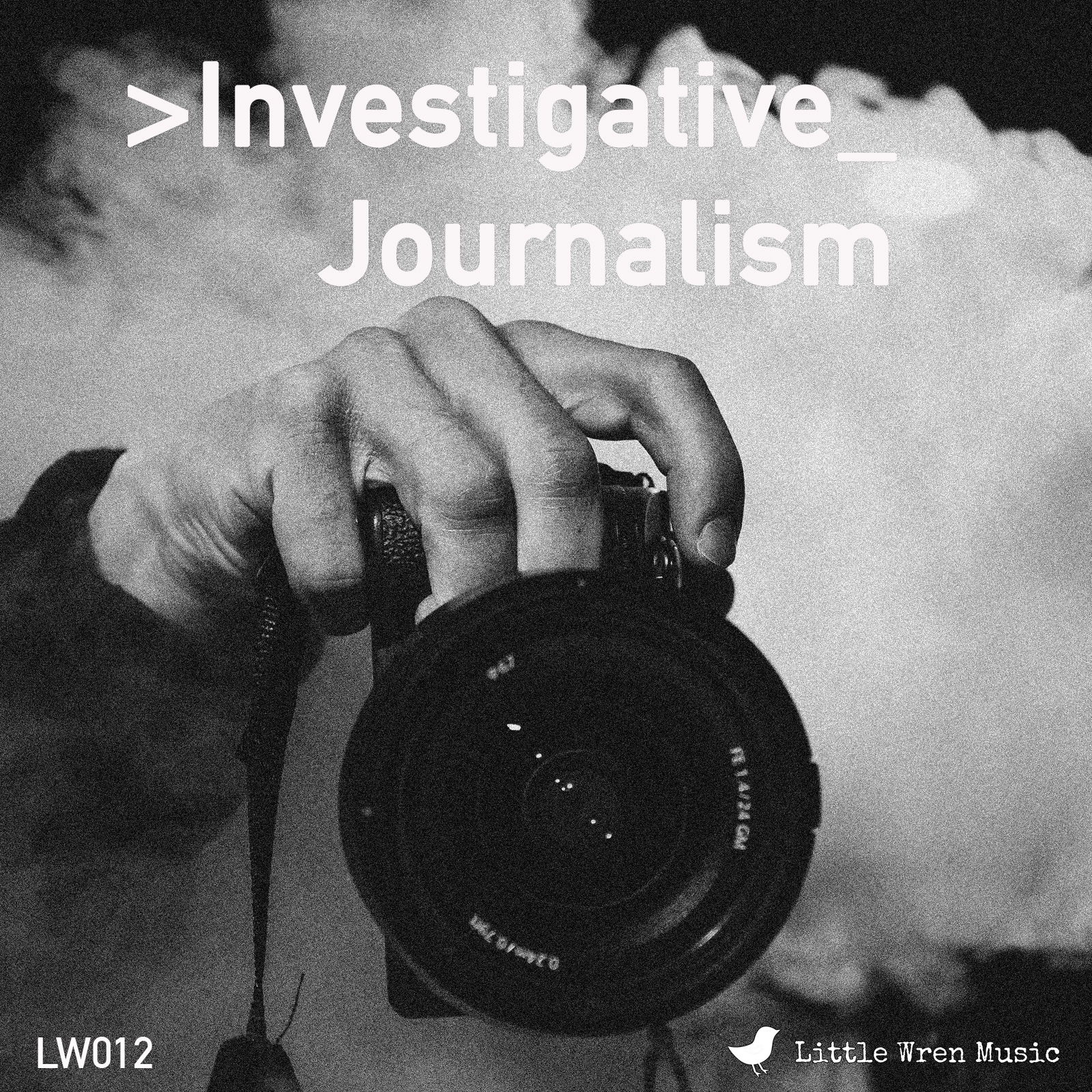 Investigative Journalism