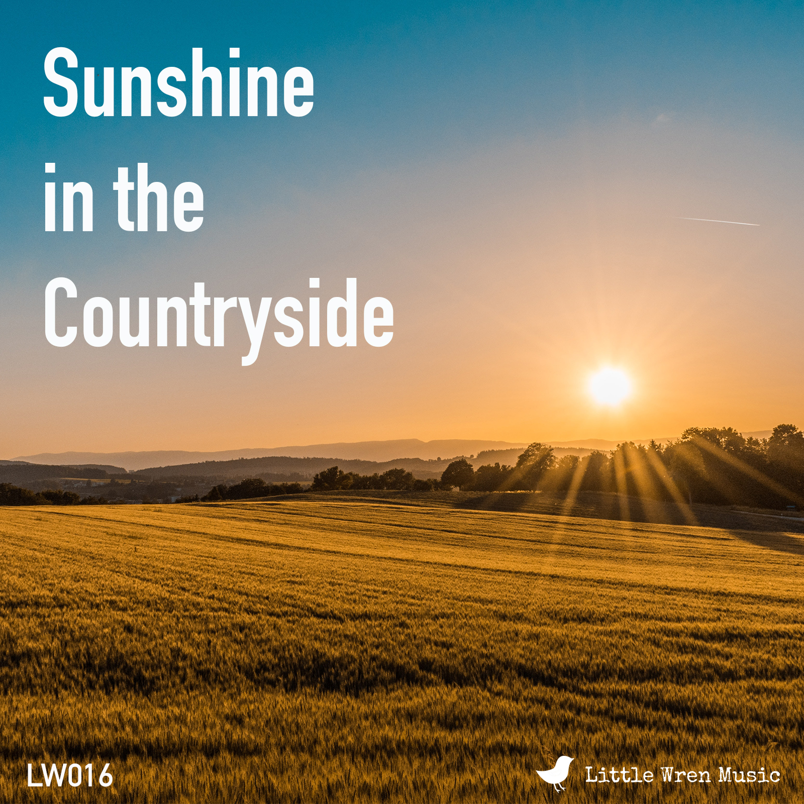 Sunshine in the Countryside