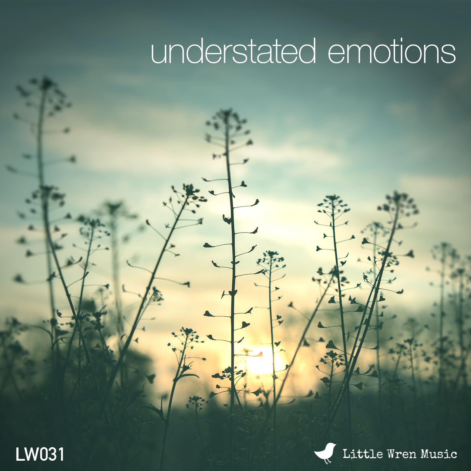 Understated Emotions