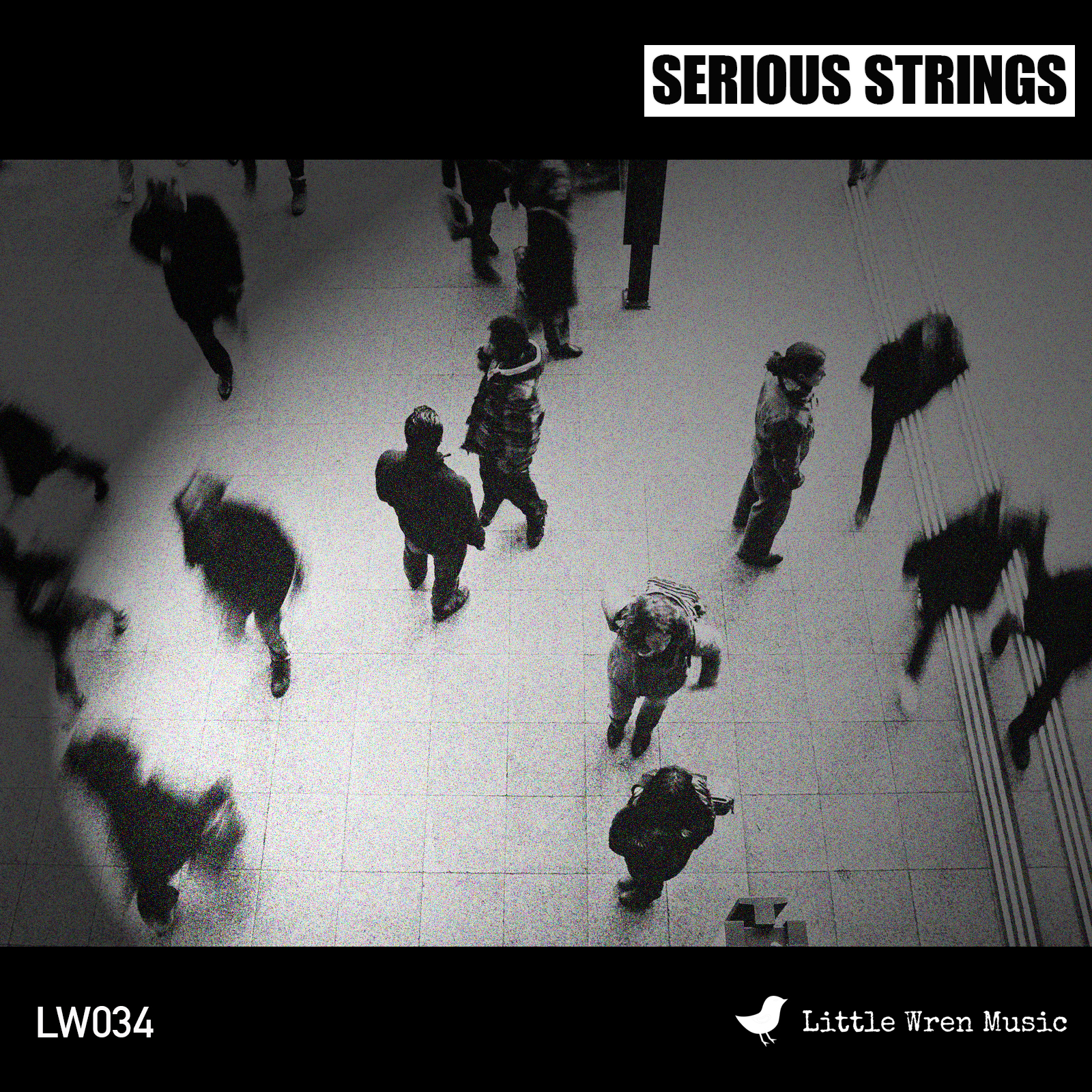Serious Strings