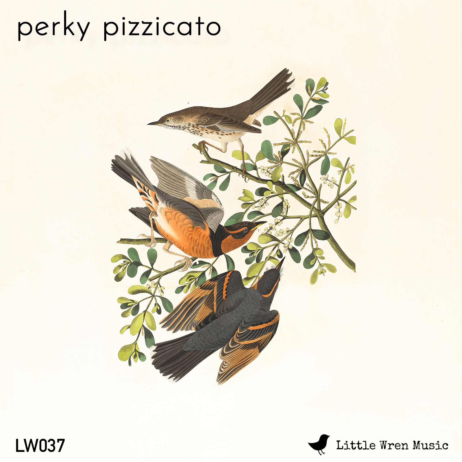 Perky Pizzicato