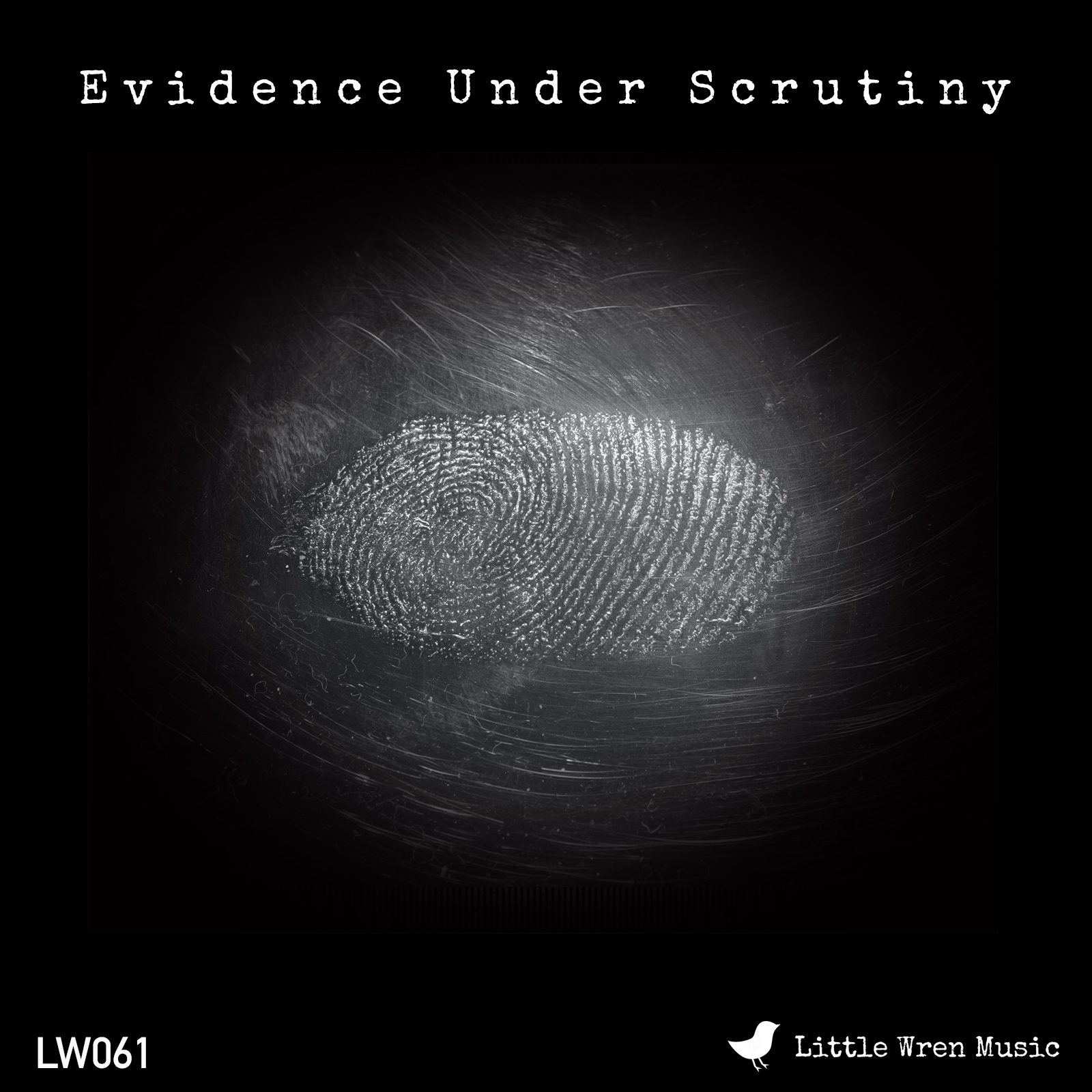 Evidence Under Scrutiny