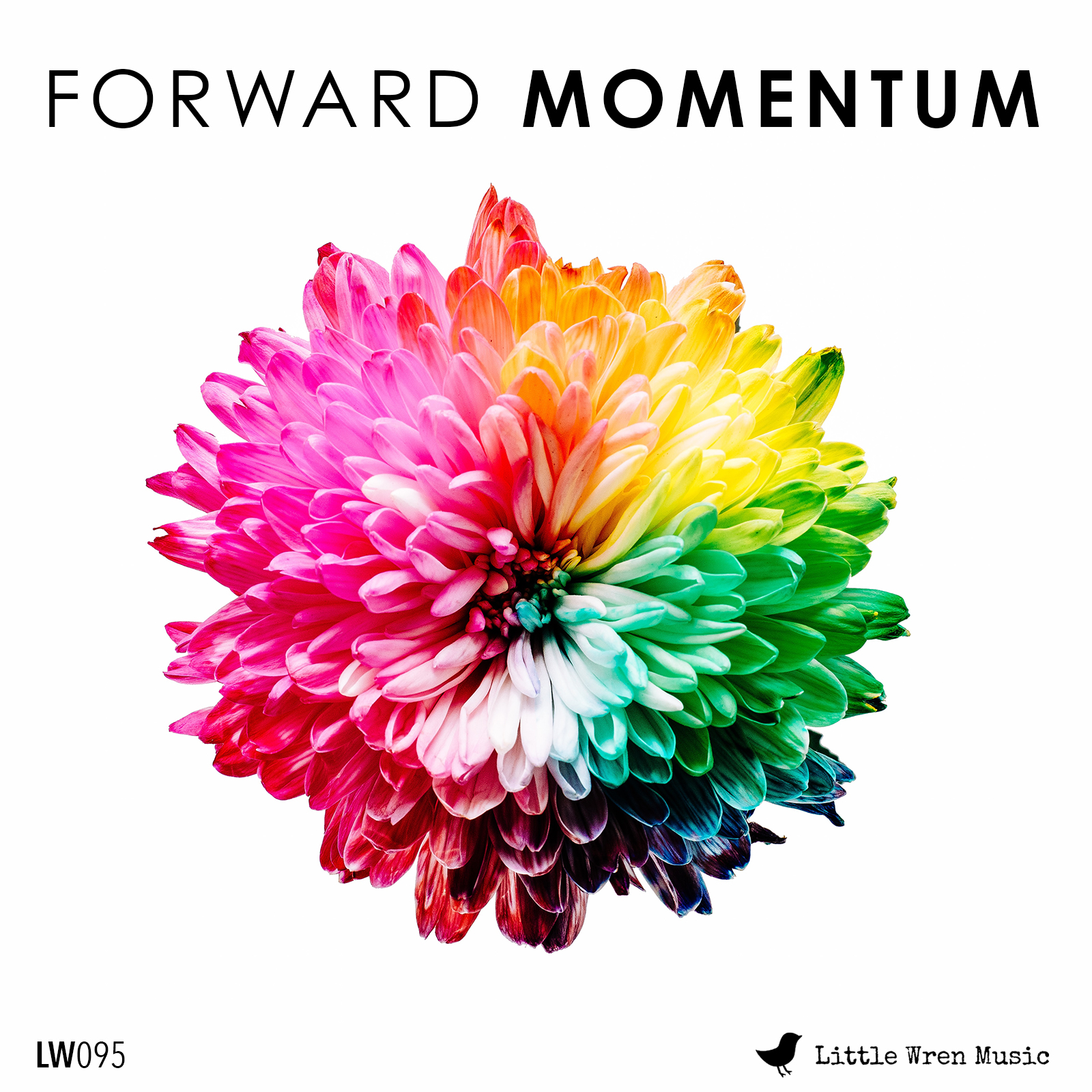 Forward Momentum