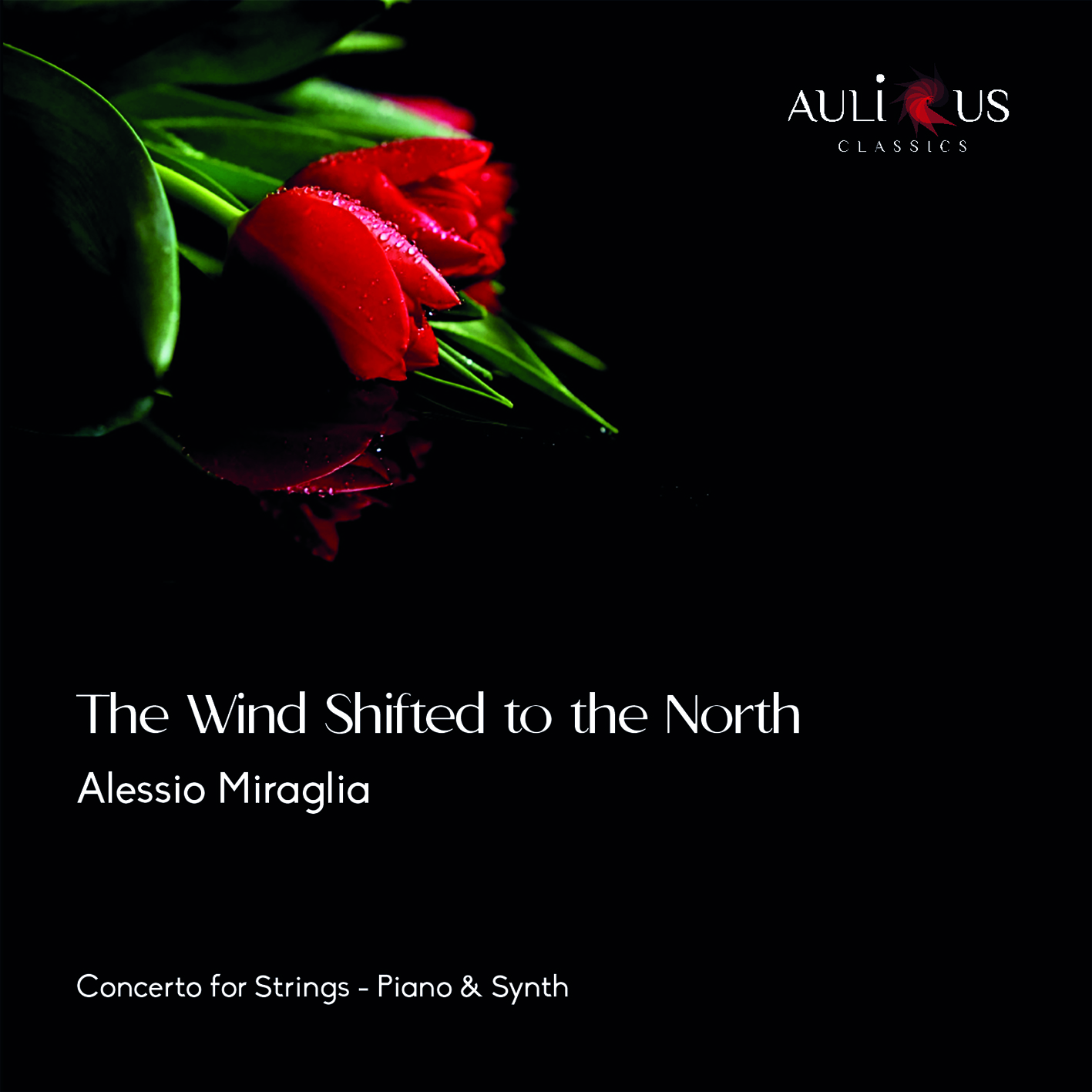 The Wind Shifted to The North: Concerto for Strings, Piano & Synth