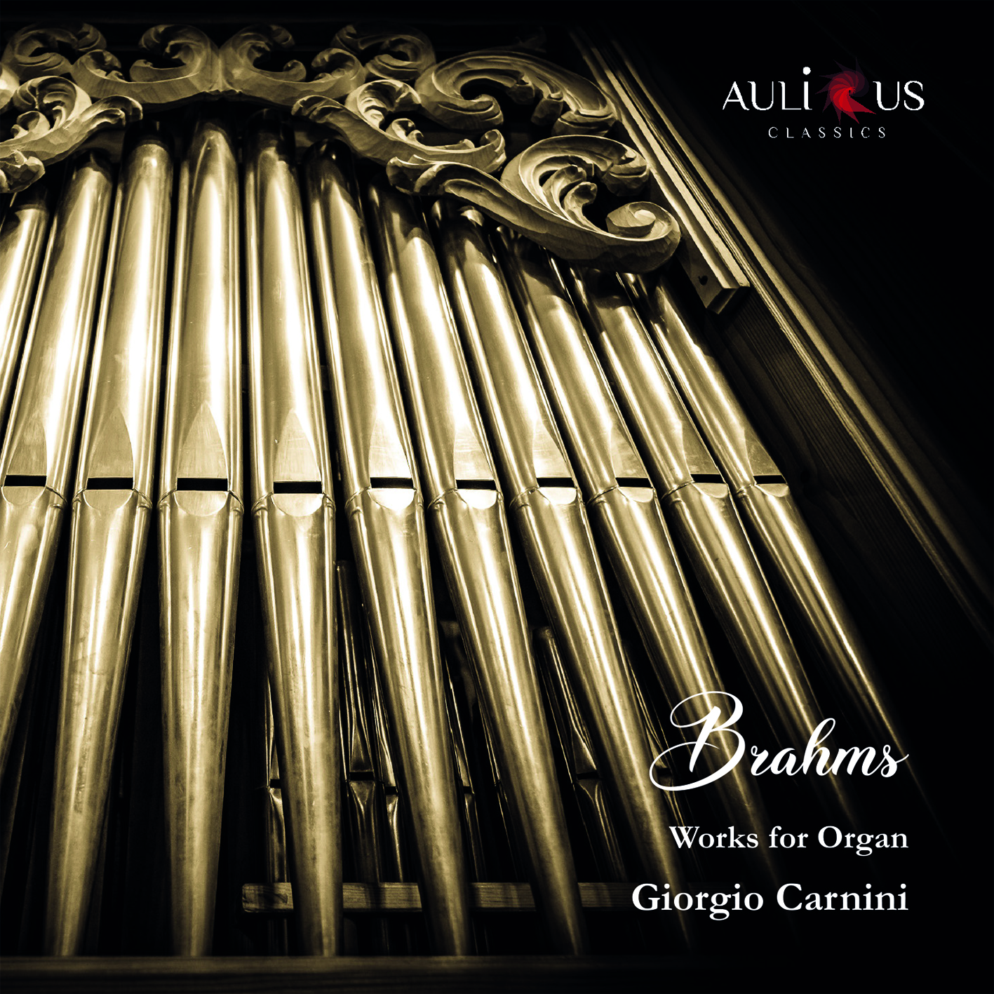 Brahms: Works for Organ
